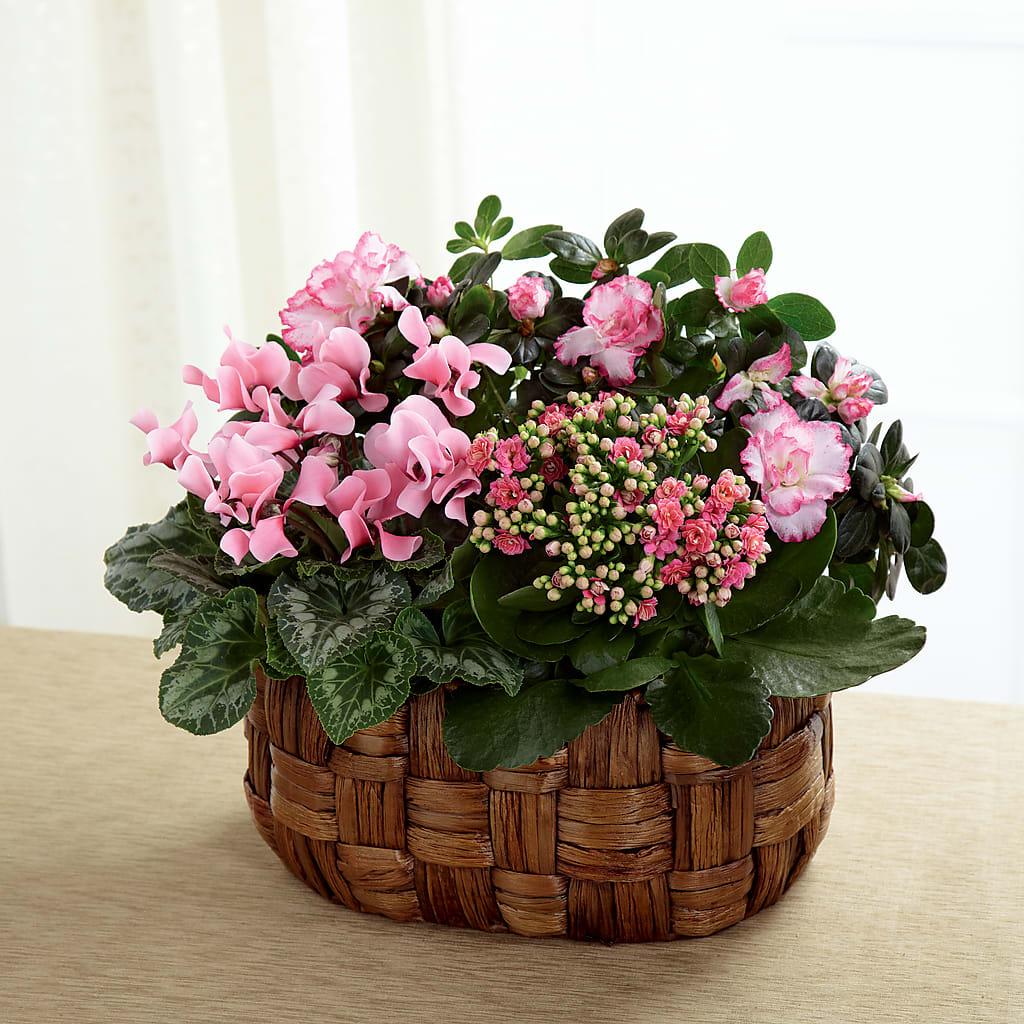 Pink Assortment – HOMETOWN TREASURES FLORAL & GIFTS, Morris OK