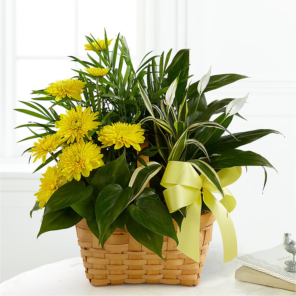 Loving Light Dishgarden – HOMETOWN TREASURES FLORAL & GIFTS, Morris OK