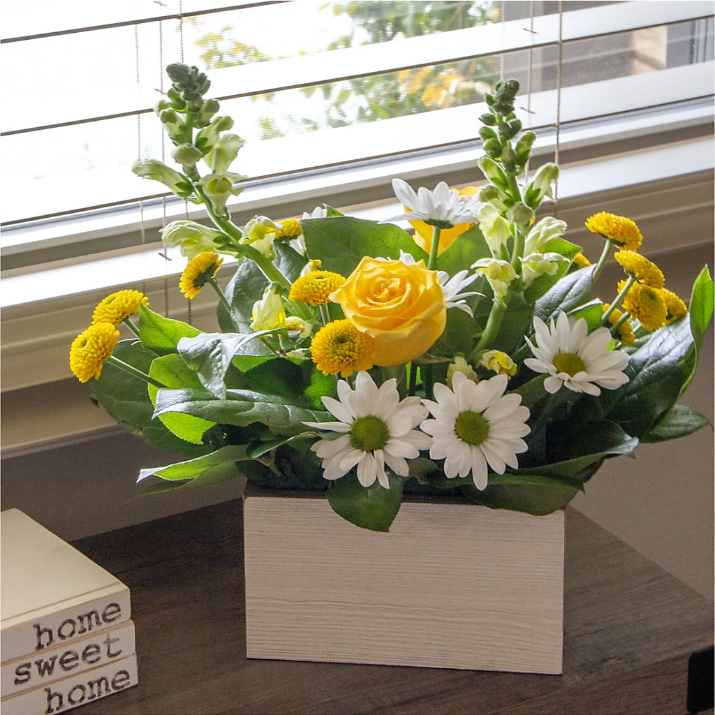 Sun Salutation Box Bouquet – HOMETOWN TREASURES FLORAL & GIFTS, Morris OK