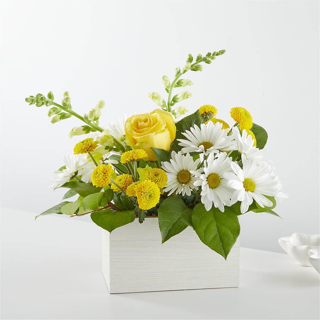 Sun Salutation Box Bouquet – HOMETOWN TREASURES FLORAL & GIFTS, Morris OK