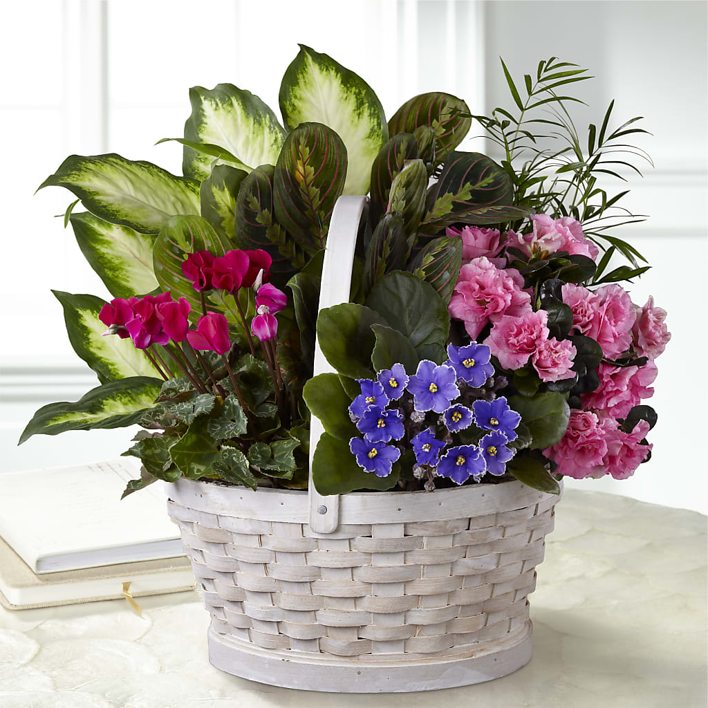 Peaceful Garden Planter – HOMETOWN TREASURES FLORAL & GIFTS, Morris OK