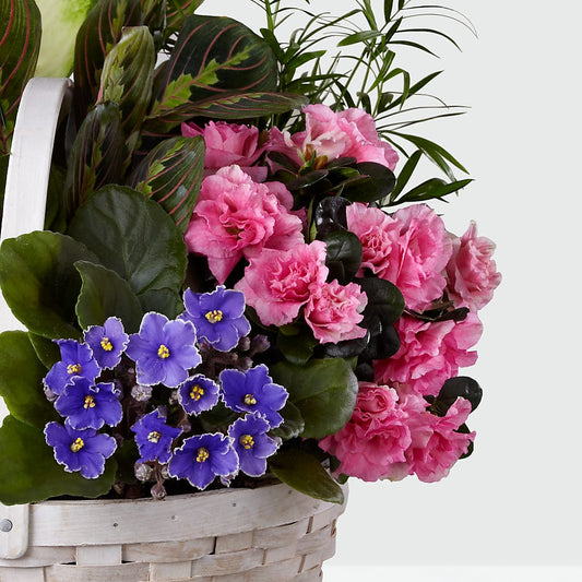 Peaceful Garden Planter – HOMETOWN TREASURES FLORAL & GIFTS, Morris OK