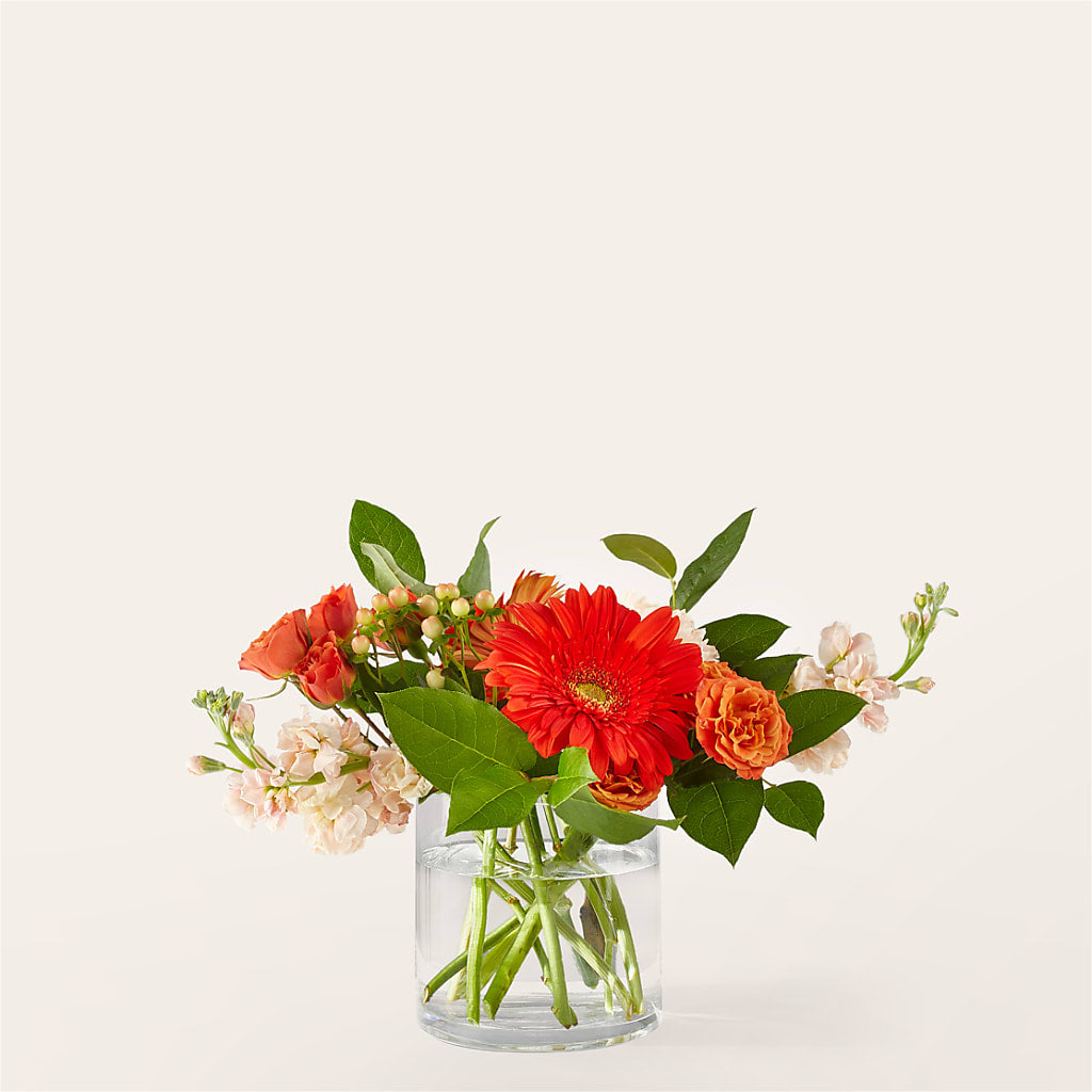Paloma Please Bouquet – HOMETOWN TREASURES FLORAL & GIFTS, Morris OK