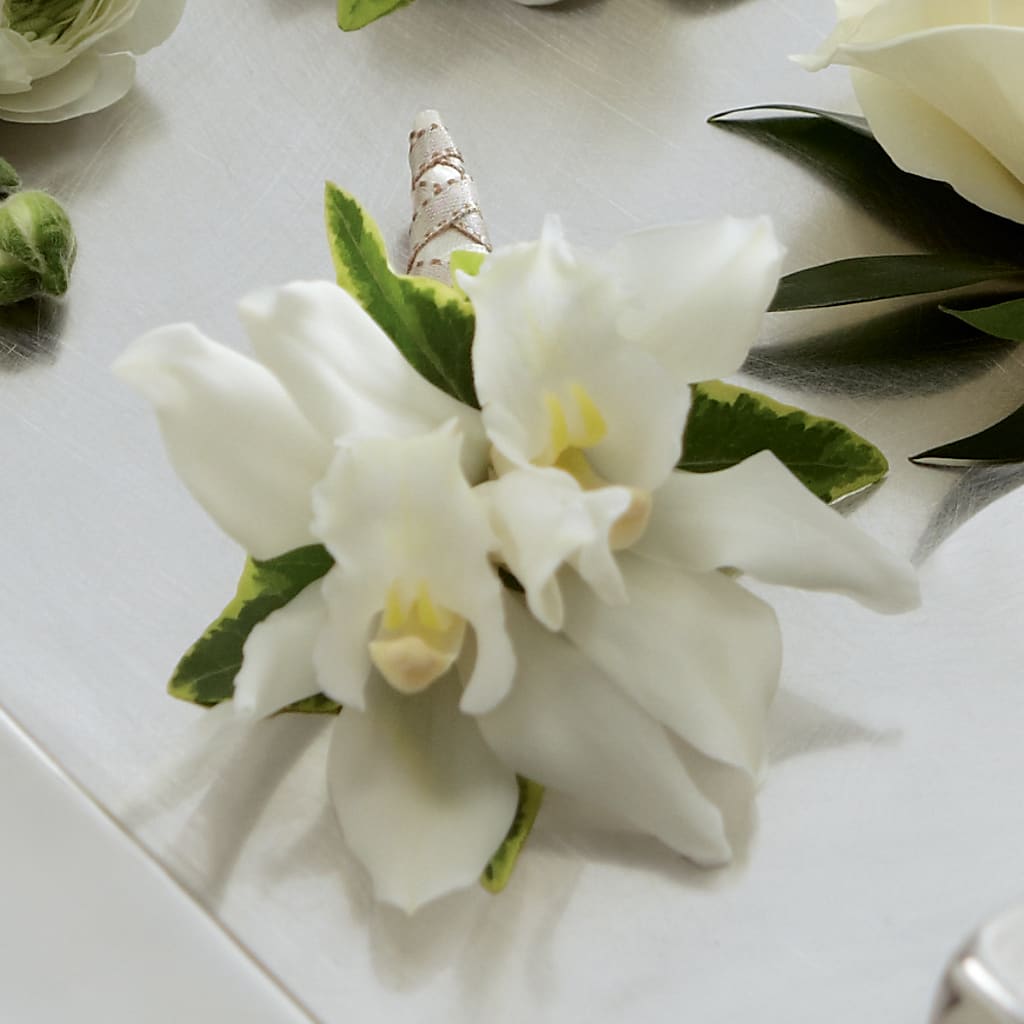 White Mini Cymbidium Boutonniere – HOMETOWN TREASURES FLORAL & GIFTS, Morris OK