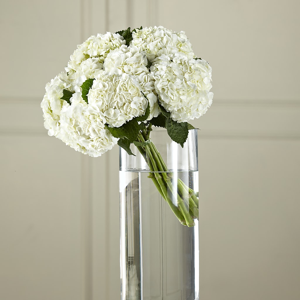 White Hydrangea Hand-Tied Bouquet – HOMETOWN TREASURES FLORAL & GIFTS, Morris OK