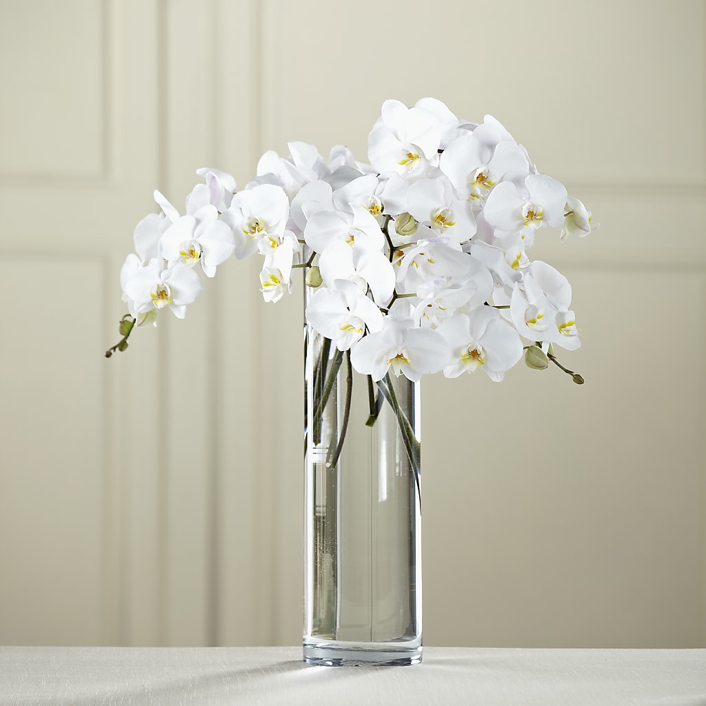 White Phalaenopsis Bouquet – HOMETOWN TREASURES FLORAL & GIFTS, Morris OK