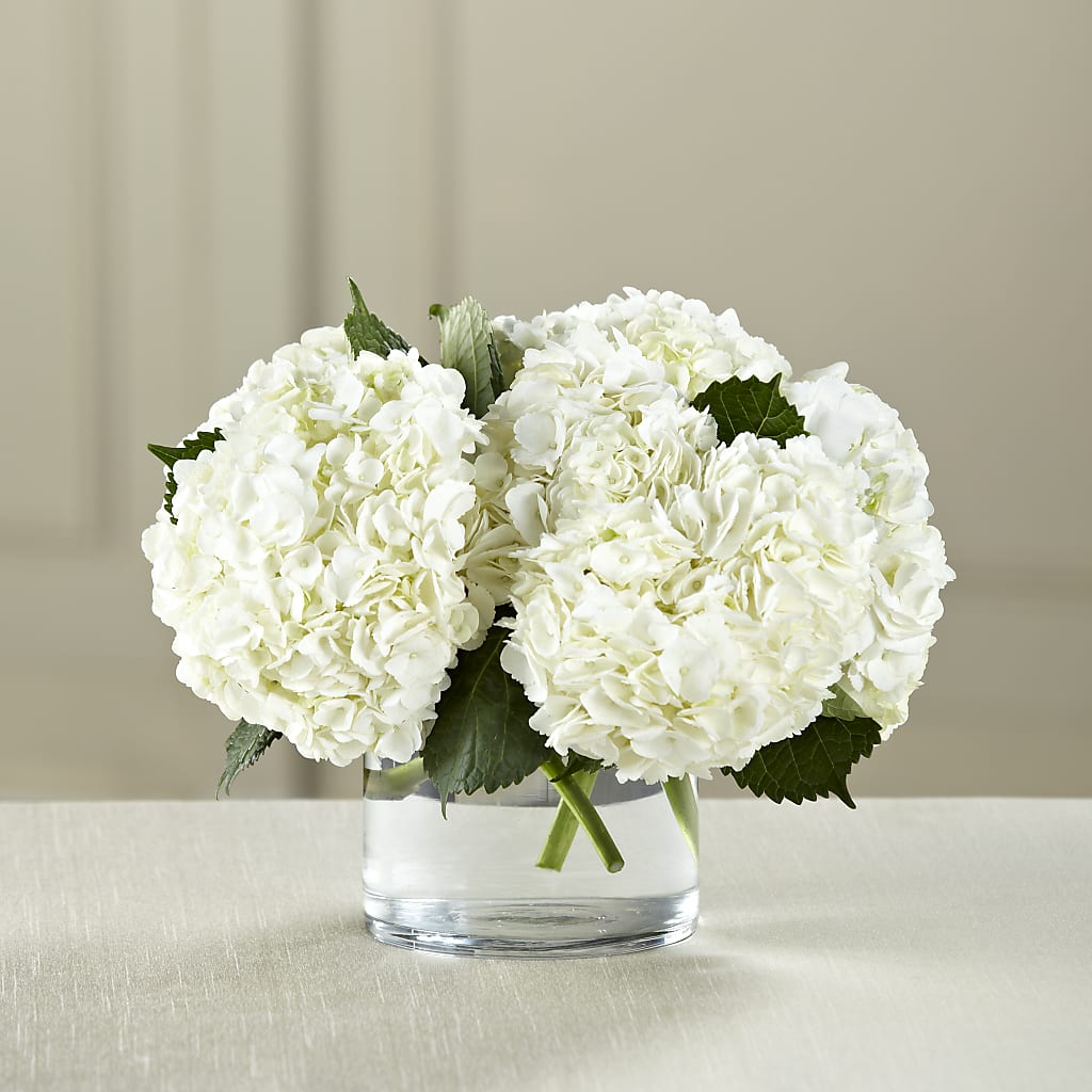 White Hydrangea Bouquet – HOMETOWN TREASURES FLORAL & GIFTS, Morris OK