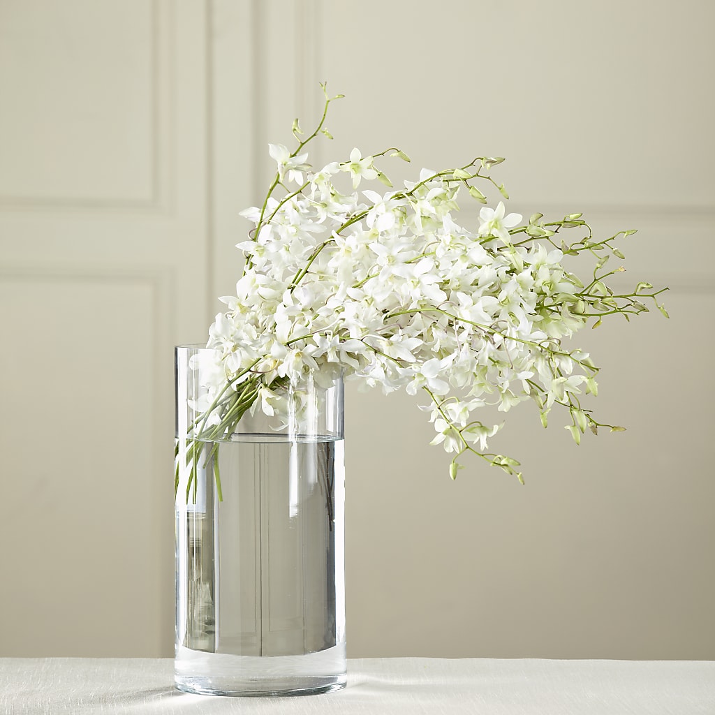 White Dendrobium Bouquet – HOMETOWN TREASURES FLORAL & GIFTS, Morris OK