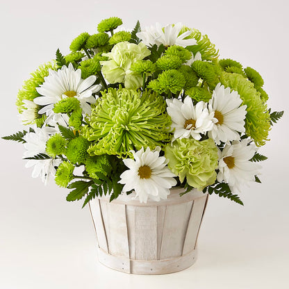 Lucky Charm Basket (Standard) – HOMETOWN TREASURES FLORAL & GIFTS, Morris OK