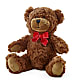 Adorable Plush Bear – HOMETOWN TREASURES FLORAL & GIFTS, Morris OK