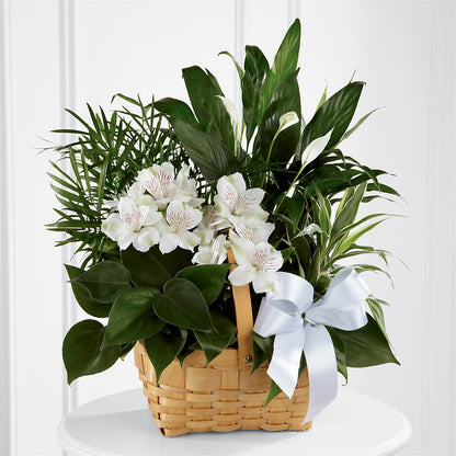 Peace & Serenity Dishgarden – HOMETOWN TREASURES FLORAL & GIFTS, Morris OK