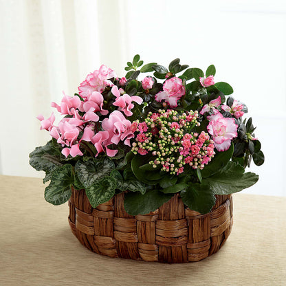 Pink Assortment – HOMETOWN TREASURES FLORAL & GIFTS, Morris OK