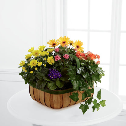 Gentle Blossoms Basket – HOMETOWN TREASURES FLORAL & GIFTS, Morris OK