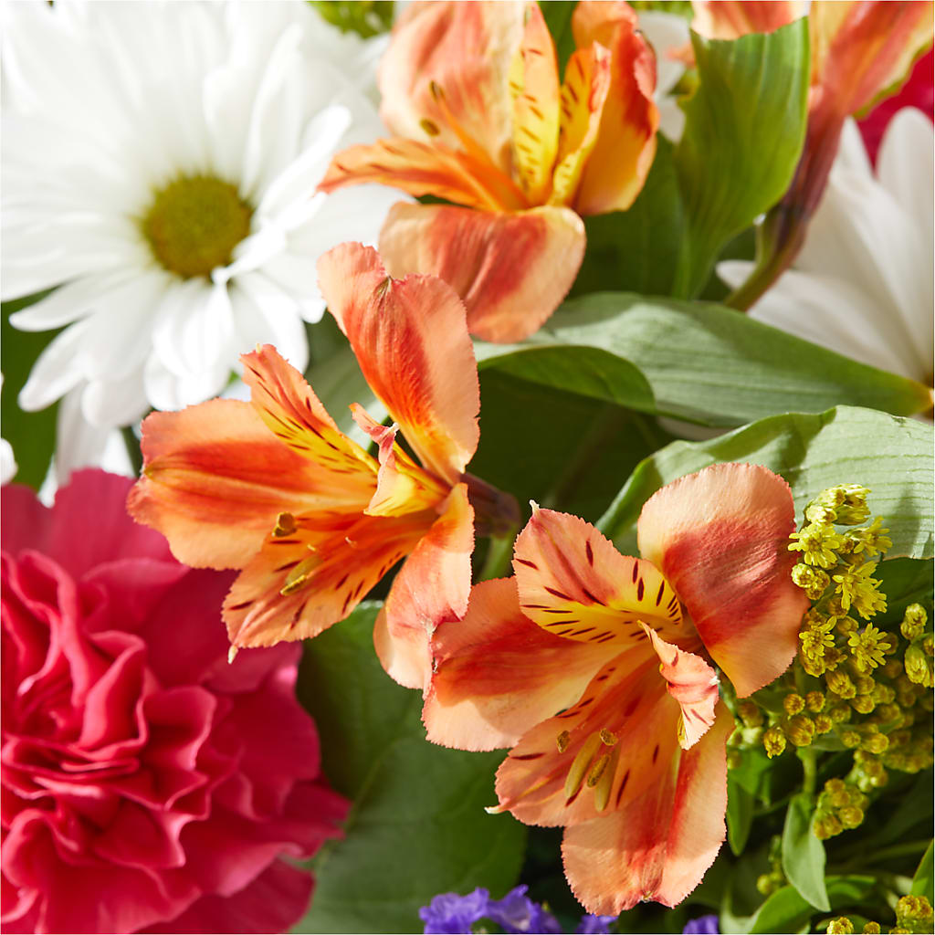 Oopsie Daisy Box Bouquet – HOMETOWN TREASURES FLORAL & GIFTS, Morris OK