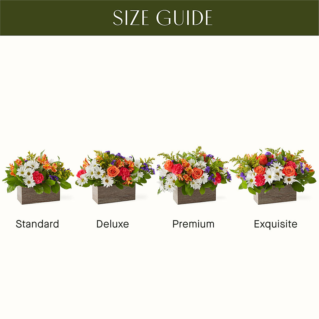 Oopsie Daisy Box Bouquet – HOMETOWN TREASURES FLORAL & GIFTS, Morris OK