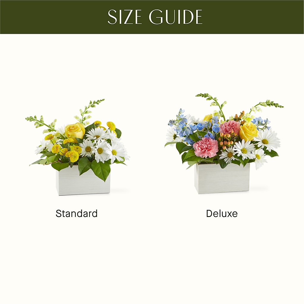 Sun Salutation Box Bouquet – HOMETOWN TREASURES FLORAL & GIFTS, Morris OK
