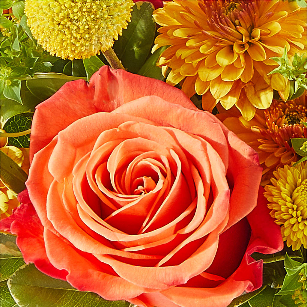 Gourdgeous Pumpkin – HOMETOWN TREASURES FLORAL & GIFTS, Morris OK