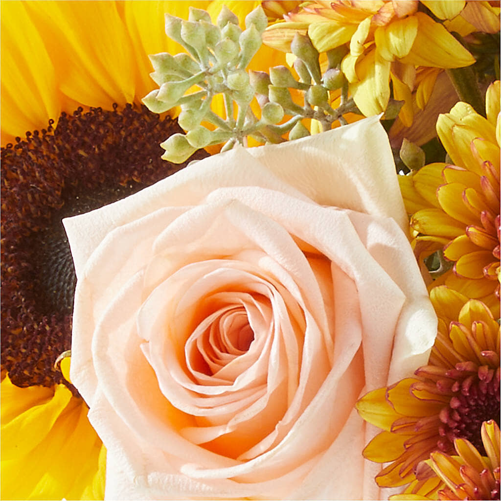 Pumpkin to Talk About Bouquet – HOMETOWN TREASURES FLORAL & GIFTS, Morris OK