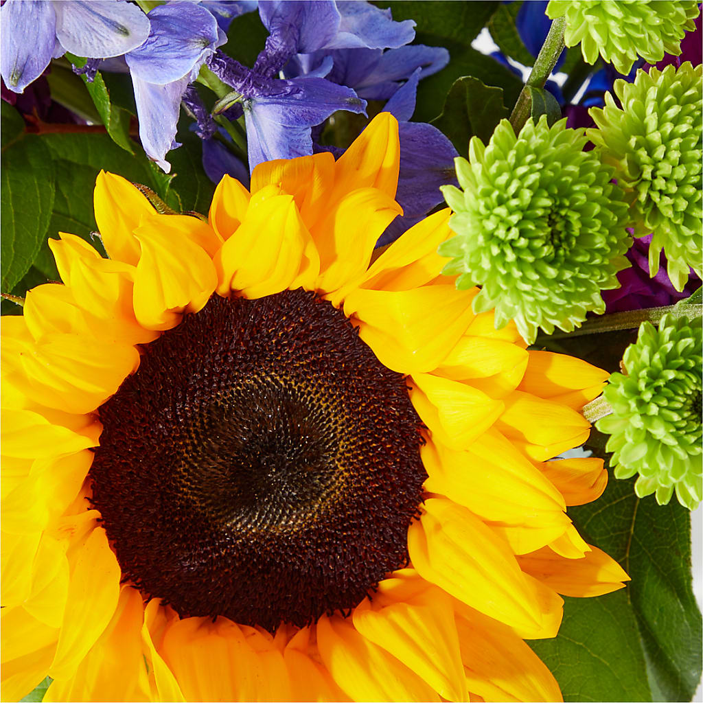 Catching Rays Bouquet – HOMETOWN TREASURES FLORAL & GIFTS, Morris OK