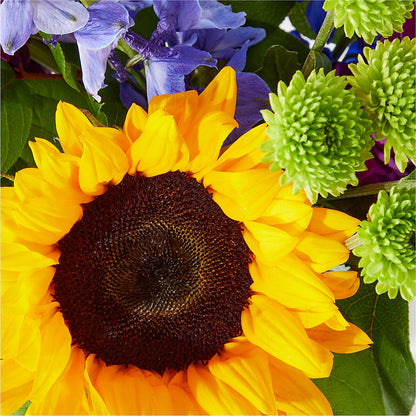 Catching Rays Bouquet – HOMETOWN TREASURES FLORAL & GIFTS, Morris OK