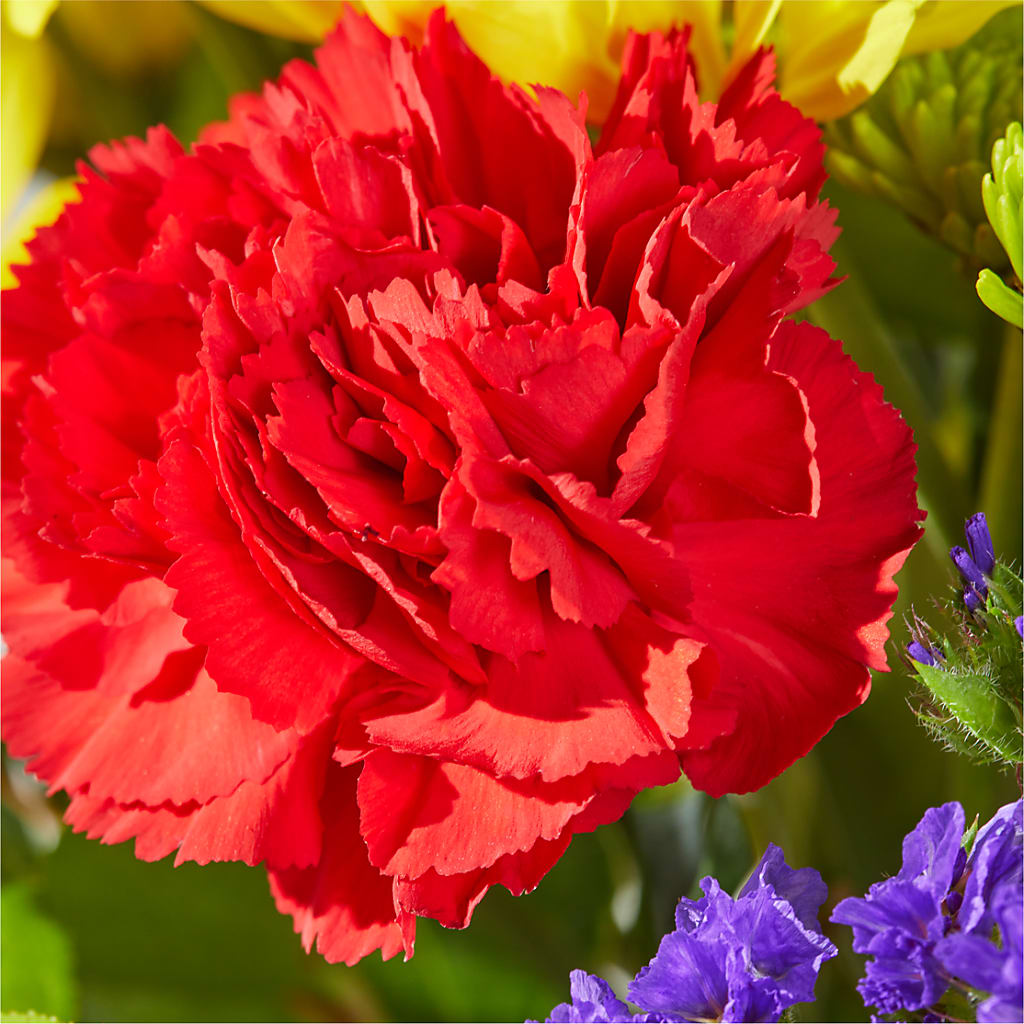 Brighter Days Bouquet – HOMETOWN TREASURES FLORAL & GIFTS, Morris OK