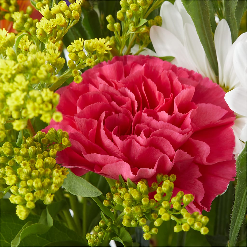 Oopsie Daisy Bouquet – HOMETOWN TREASURES FLORAL & GIFTS, Morris OK