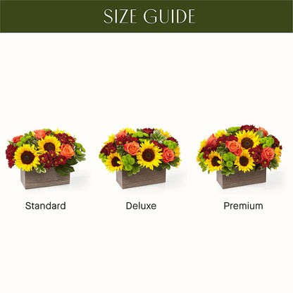 Happy Harvest Garden – HOMETOWN TREASURES FLORAL & GIFTS, Morris OK