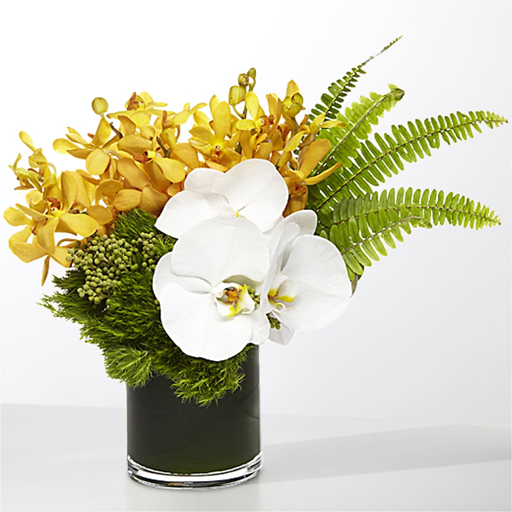 The Tropics – HOMETOWN TREASURES FLORAL & GIFTS, Morris OK