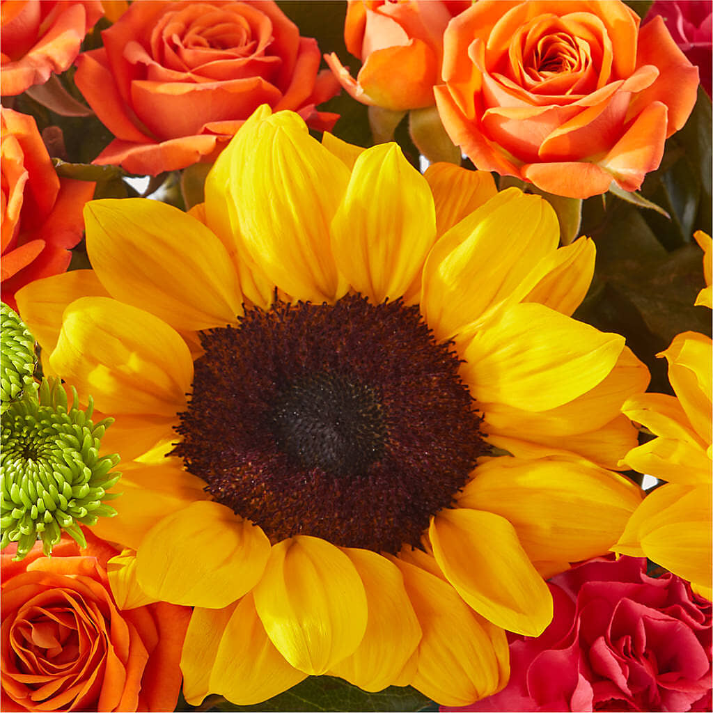 Sun-drenched Blooms Box Bouquet – HOMETOWN TREASURES FLORAL & GIFTS, Morris OK