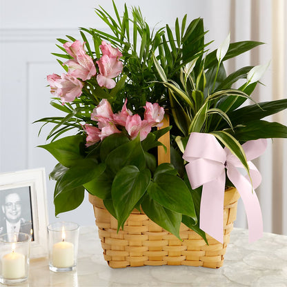 Living Spirit Dishgarden – HOMETOWN TREASURES FLORAL & GIFTS, Morris OK