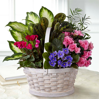 Peaceful Garden Planter – HOMETOWN TREASURES FLORAL & GIFTS, Morris OK