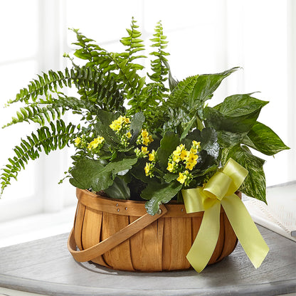 Always Dear Dishgarden – HOMETOWN TREASURES FLORAL & GIFTS, Morris OK