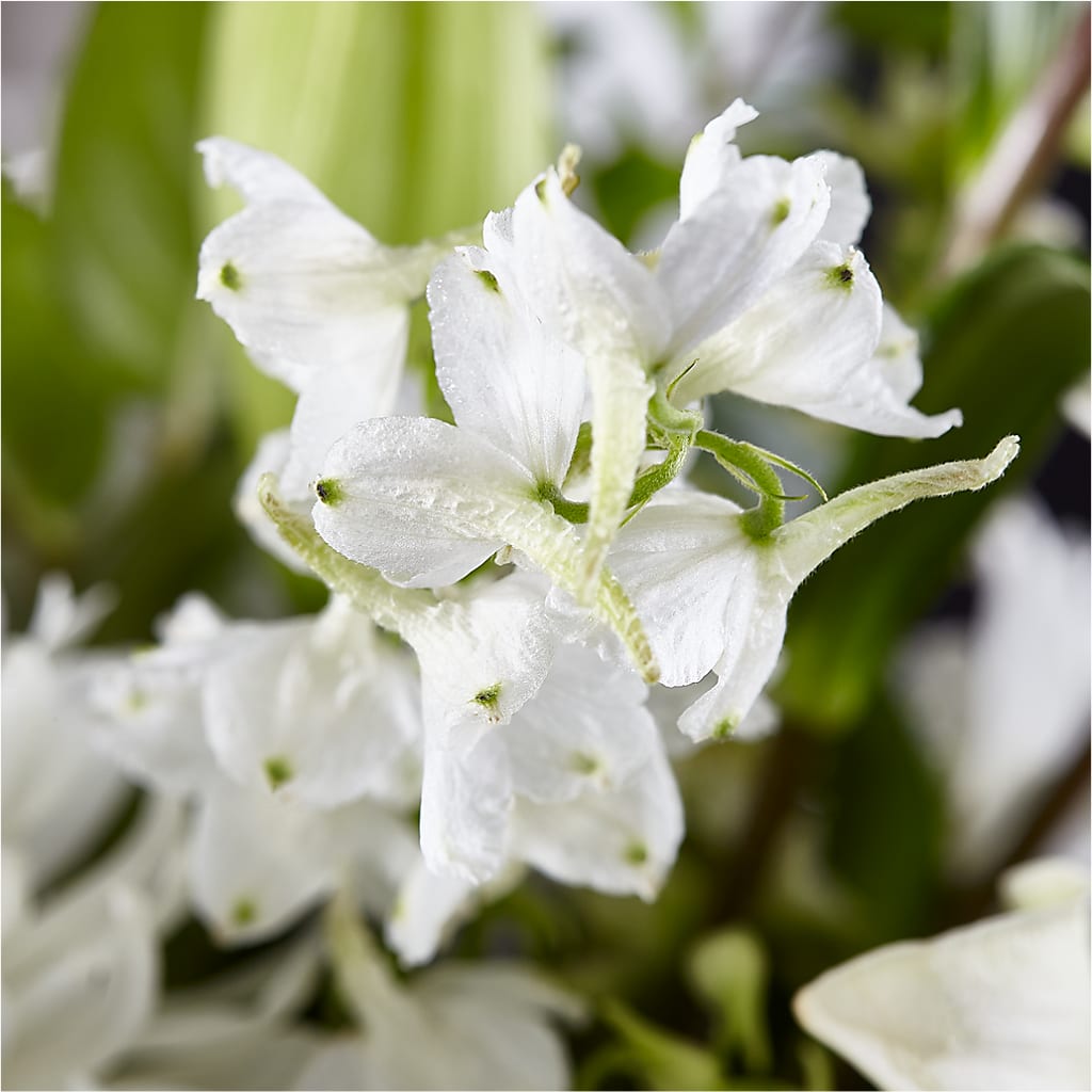 Classic Ivory – A Florist Original – HOMETOWN TREASURES FLORAL & GIFTS, Morris OK