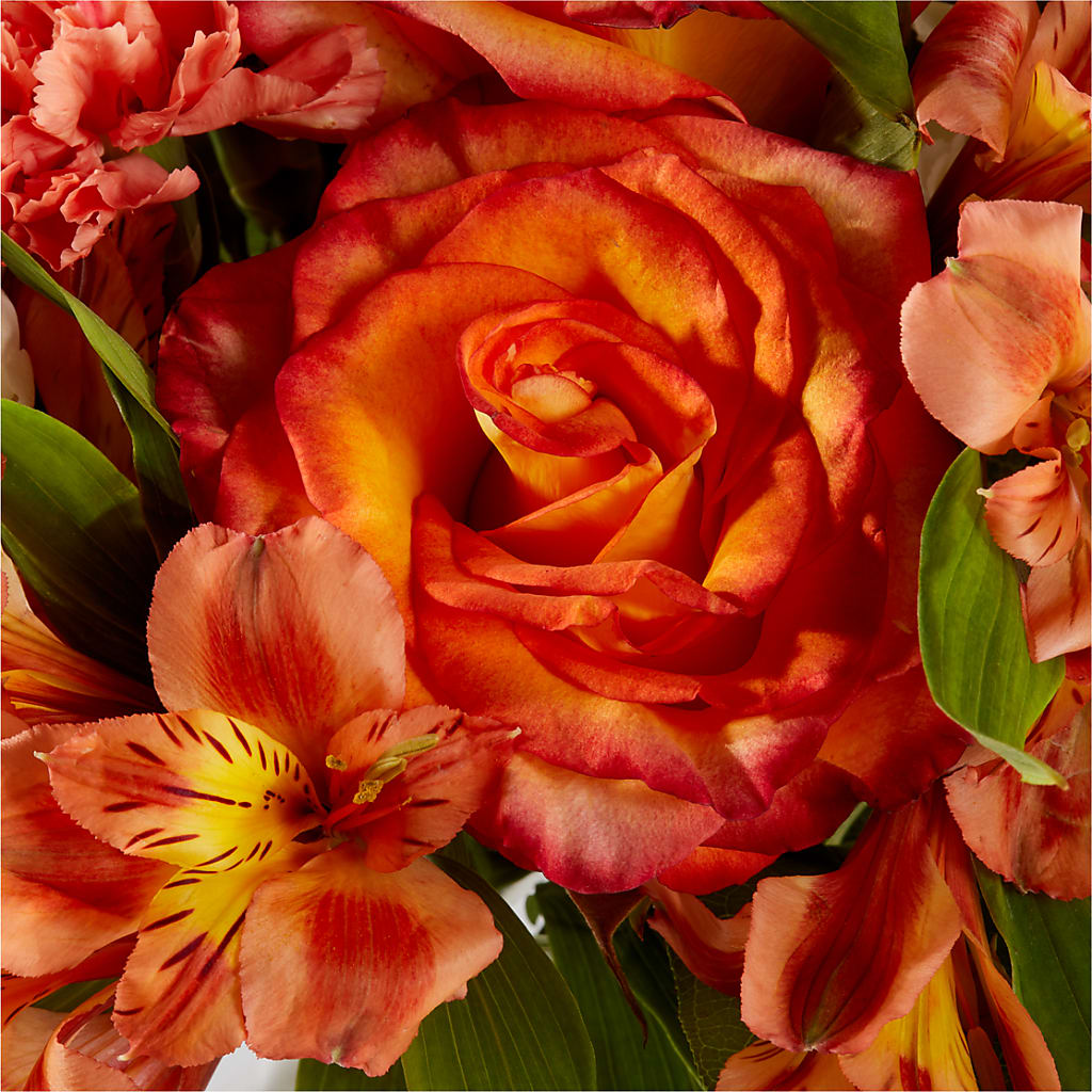 Apricot Glow Bouquet – HOMETOWN TREASURES FLORAL & GIFTS, Morris OK