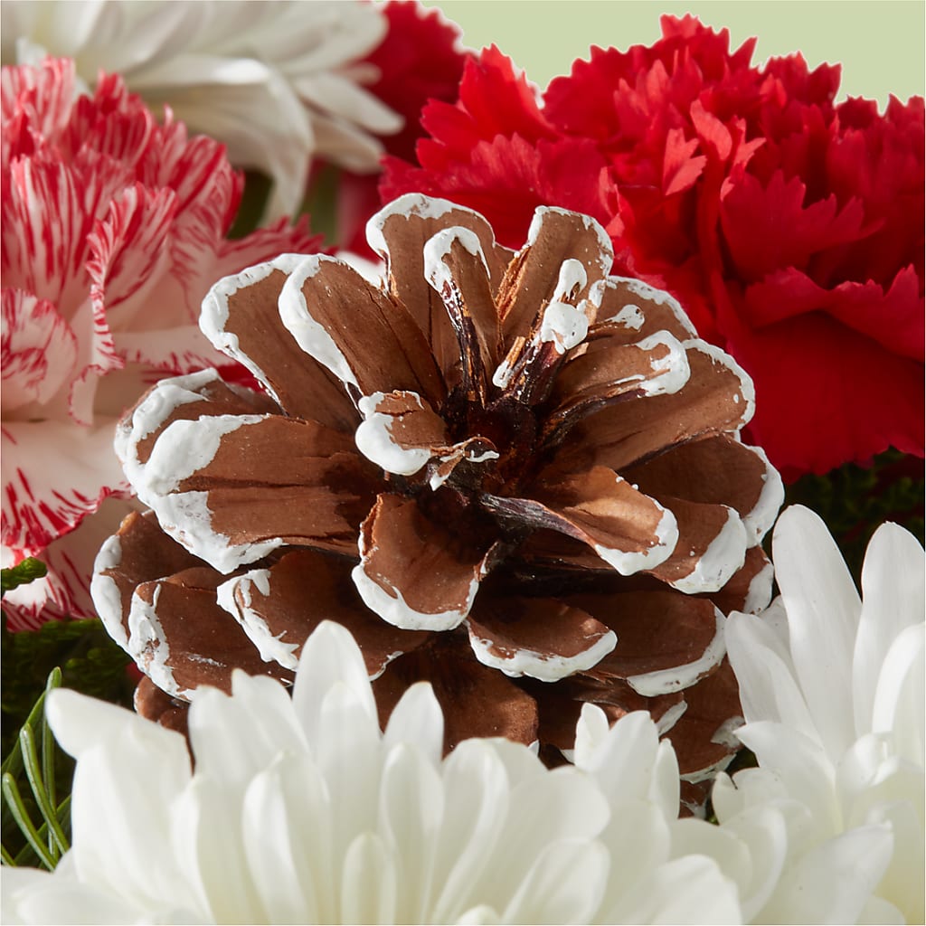 Candy Cane Lane Bouquet – HOMETOWN TREASURES FLORAL & GIFTS, Morris OK