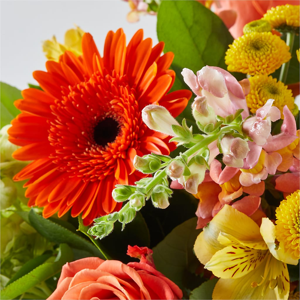 Autumn Sunshine Bouquet – HOMETOWN TREASURES FLORAL & GIFTS, Morris OK
