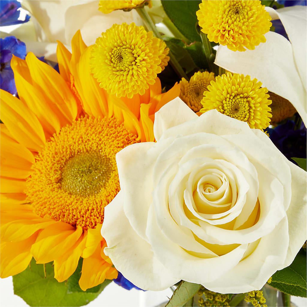 Stargazing Bouquet – HOMETOWN TREASURES FLORAL & GIFTS, Morris OK