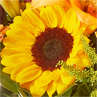 Seasons Change Bouquet – HOMETOWN TREASURES FLORAL & GIFTS, Morris OK
