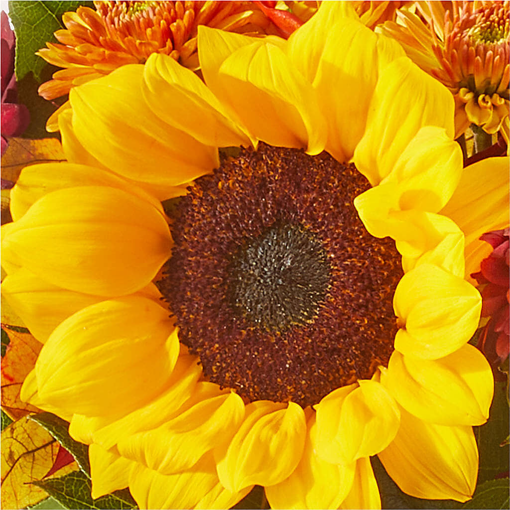 Sunny Side Bouquet – HOMETOWN TREASURES FLORAL & GIFTS, Morris OK
