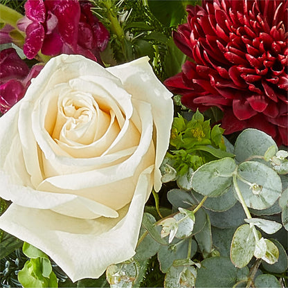 Cranberry Fizz Bouquet – HOMETOWN TREASURES FLORAL & GIFTS, Morris OK