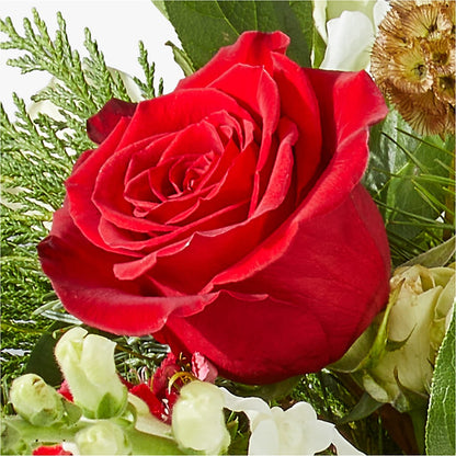 Deck the Halls Bouquet – HOMETOWN TREASURES FLORAL & GIFTS, Morris OK
