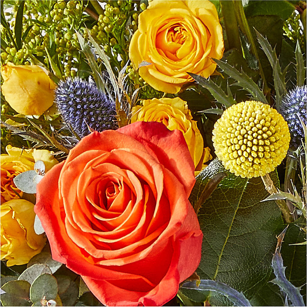 Disco Bouquet – HOMETOWN TREASURES FLORAL & GIFTS, Morris OK
