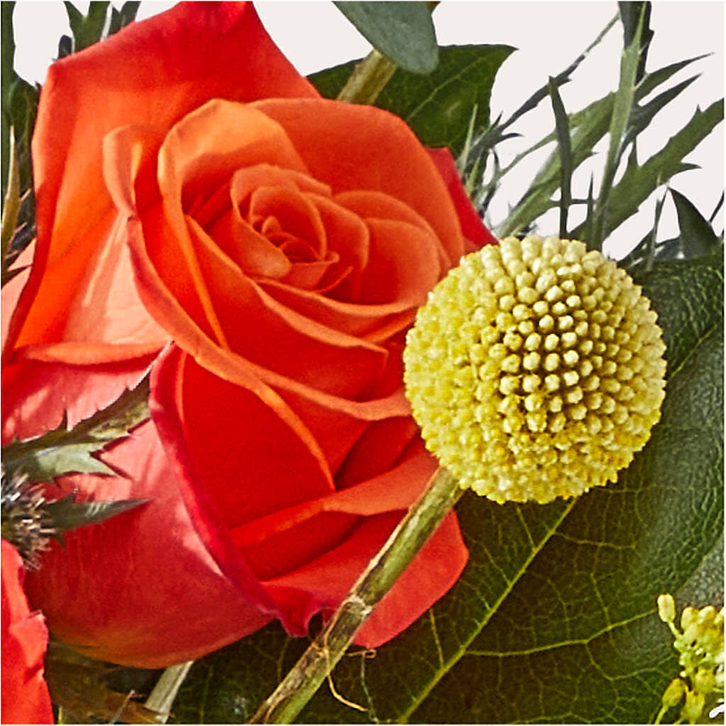Disco Bouquet – HOMETOWN TREASURES FLORAL & GIFTS, Morris OK