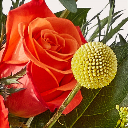 Disco Bouquet – HOMETOWN TREASURES FLORAL & GIFTS, Morris OK