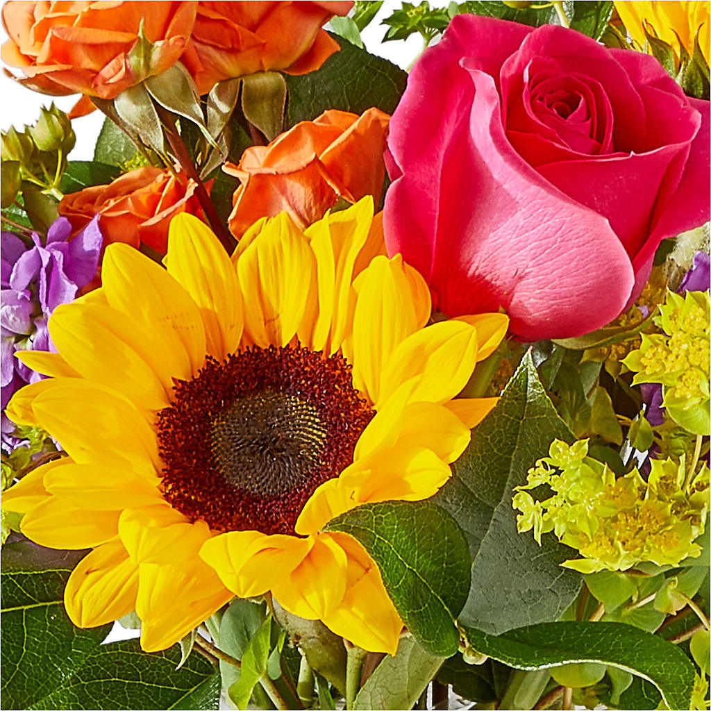 Vibrant Greetings Bouquet – HOMETOWN TREASURES FLORAL & GIFTS, Morris OK