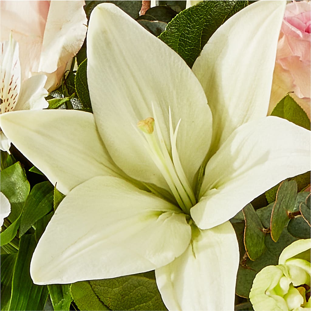 Ballet Slippers Bouquet – HOMETOWN TREASURES FLORAL & GIFTS, Morris OK