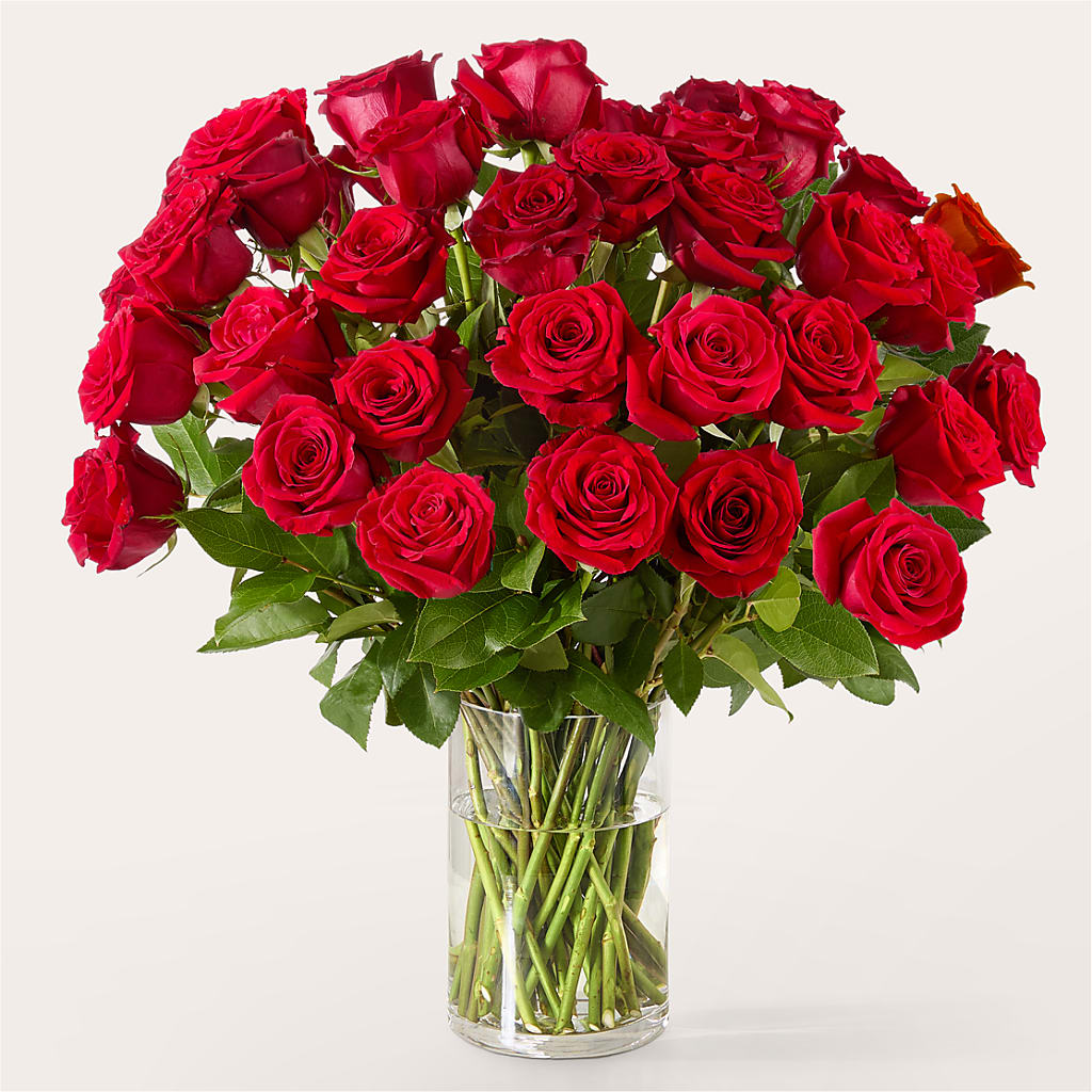 The One Red Rose Bouquet – HOMETOWN TREASURES FLORAL & GIFTS, Morris OK