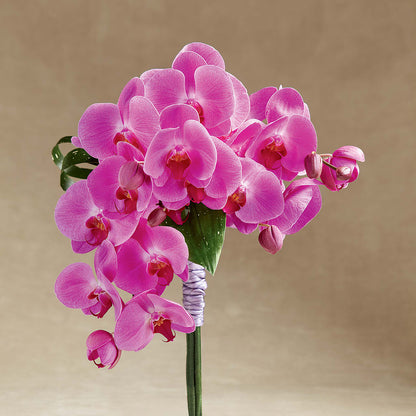 Glorious Bouquet – HOMETOWN TREASURES FLORAL & GIFTS, Morris OK