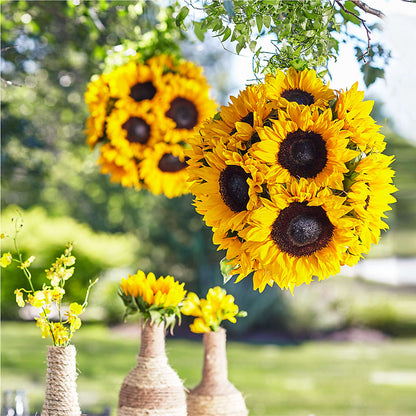 Sublime Garden Hanging Arrangement – HOMETOWN TREASURES FLORAL & GIFTS, Morris OK