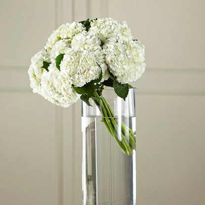 White Hydrangea Hand-Tied Bouquet – HOMETOWN TREASURES FLORAL & GIFTS, Morris OK